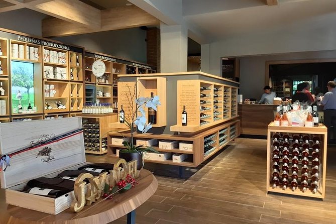 Private Half day Concha Y Toro winery tour from Santiago - Key things to know before booking