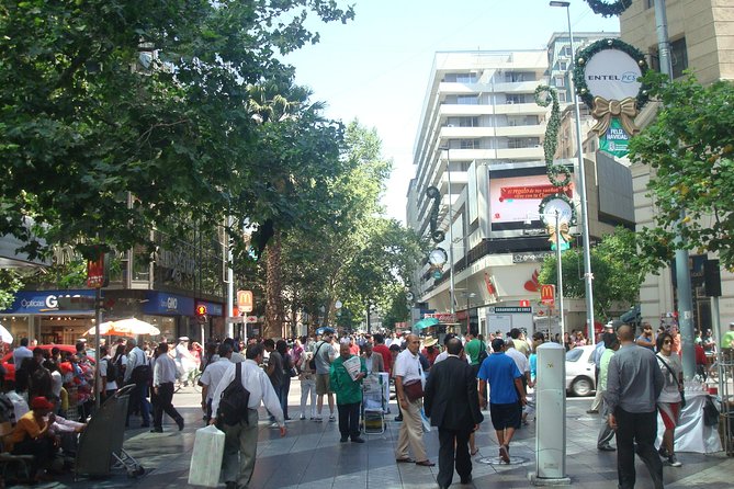 Private Half-Day Guided Tour of the City of Santiago. - Cousiño Palace and the historic center