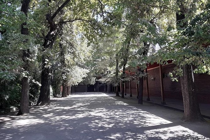 Private Half Day Santiago City Highlights Tour - Parque Forestal and the Fine Arts quarter