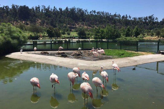 Private Half Day Tour in Santiago - A fast way to understand Santiago