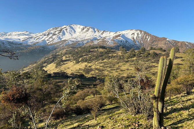 Private Horse Riding with Cheese and Wine in the Andes - From Santiago streets to a foothill farm