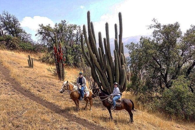 Private Horse Riding with Cheese and Wine in the Andes - The lookout at 2,000 meters