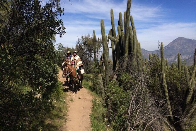Private Horse Riding with Cheese and Wine in the Andes - Descending through the forest