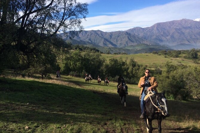 Private Horse Riding with Cheese and Wine in the Andes - Cheese, wine, and the farm animals