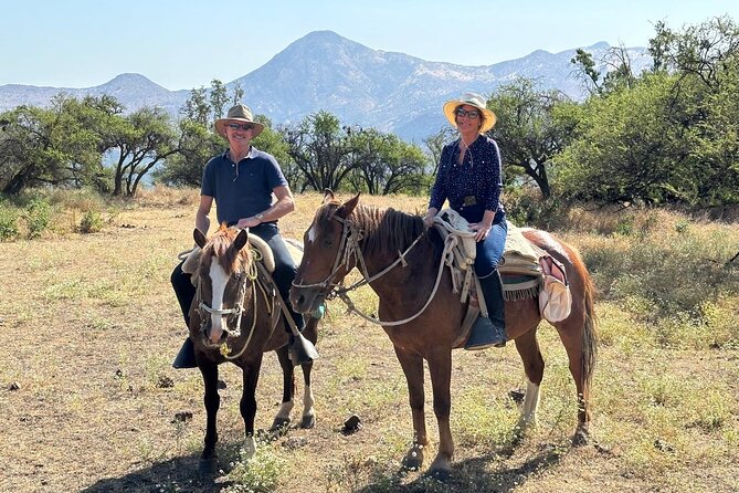 Private Horse Riding with Cheese and Wine in the Andes - Timing, pickup, and booking advice