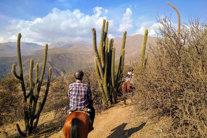 Private Horseback Adventure in the Andes, with Picnic & Wine - What the private format changes
