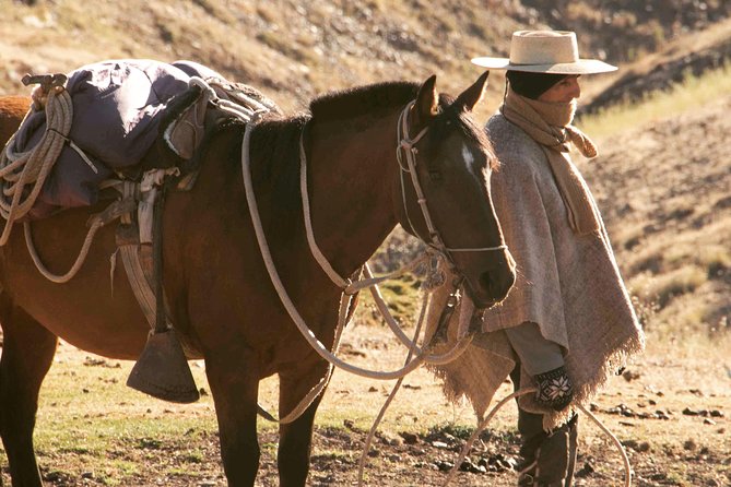 Private Horseback Adventure in the Andes, with Picnic & Wine - Summer sunset rides and timing choices