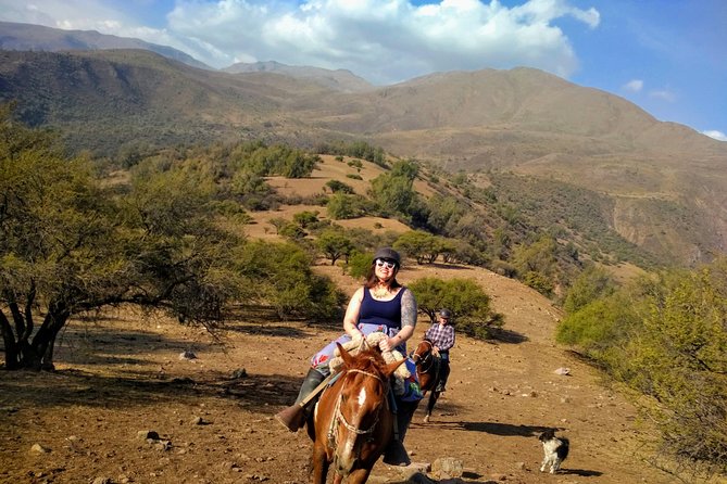 Private Horseback Adventure in the Andes, with Picnic & Wine - Is the $278.90 price good value?