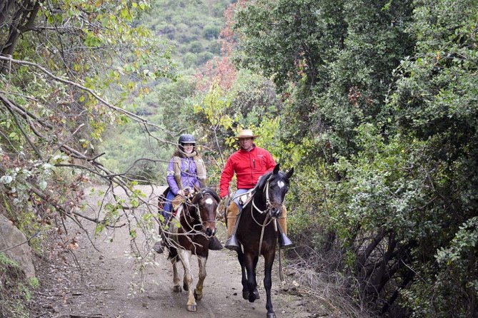 Private Horseback riding and wines from Santiago - Lunch is your pause between two very different stops