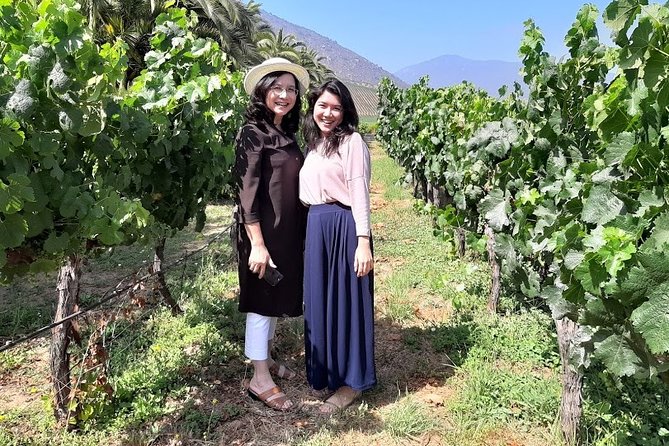 Private Horseback riding and wines from Santiago - What the horse ride may feel like