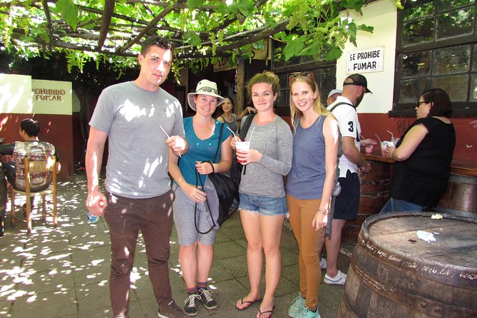 Private Layover: Full-Day Santiago City Tour with Airport Transfer - The winery visit and Chilean lunch