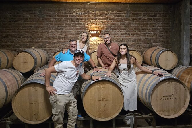 Private Maipo Valley Wine Experience: 2 Premium Wineries & Lunch - Why this Maipo Valley day works so well
