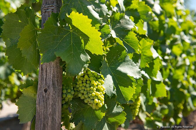 Private Maipo Valley Wine Experience: 2 Premium Wineries & Lunch - A Chilean lunch at Restaurante La Vaquita Echá