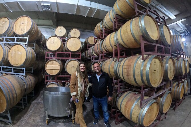 Private Maipo Valley Wine Experience: 2 Premium Wineries & Lunch - Santa Rita: wine, old cellars, and the Museo Andino