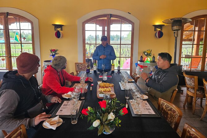 Private Maipo Valley Wine Experience: 2 Premium Wineries & Lunch - Timing, comfort, and who should book