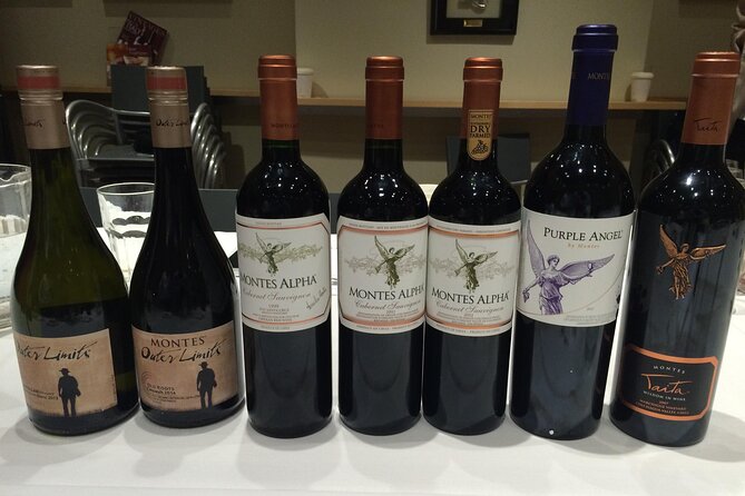 Private Montes Winery (7th World Best Wine) & Transfer to Hotel - Key Points About the Montes Winery Experience