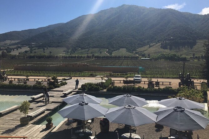 Private Montes Winery (7th World Best Wine) & Transfer to Hotel - What the Experience Does Especially Well