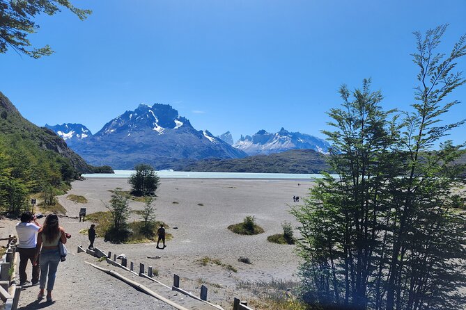 Private Multi-day Guided Tour Torres del Paine - Day 4: A final morning before your flight