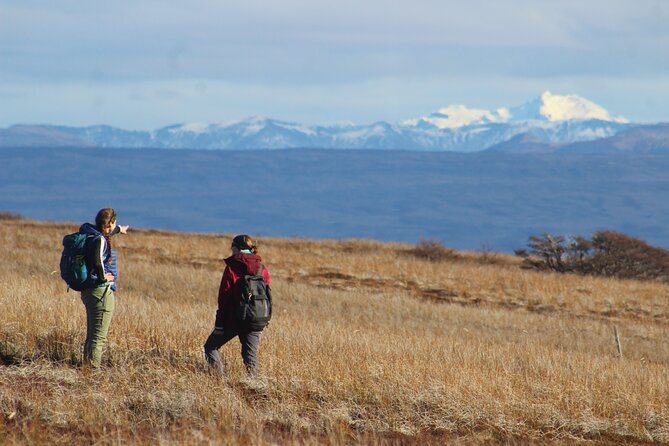 Private Patagonian Forest Hike in Punta Arenas: 6 Hour - Five things to know before you book