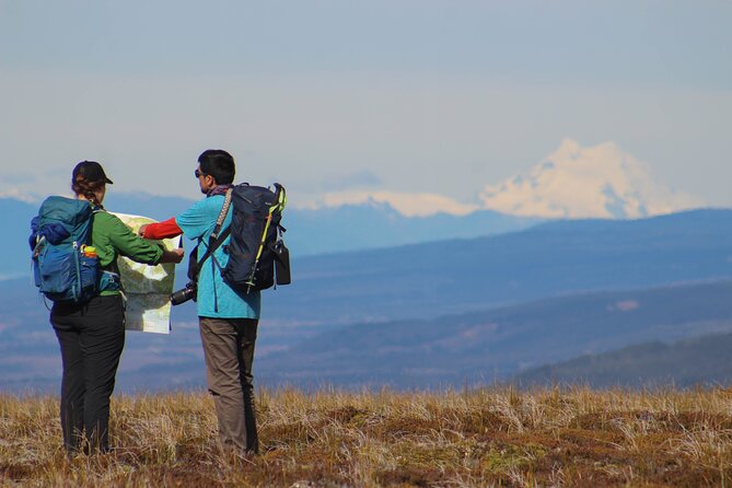 Private Patagonian Forest Hike in Punta Arenas: 6 Hour - Why this six-hour outing works so well