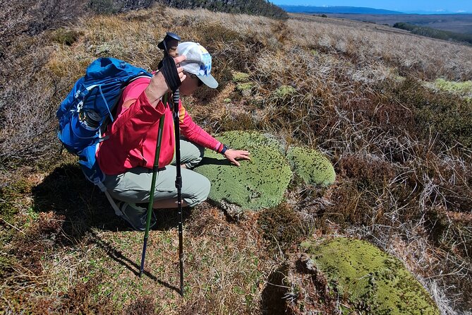 Private Patagonian Forest Hike in Punta Arenas: 6 Hour - Meeting Manuel in Punta Arenas