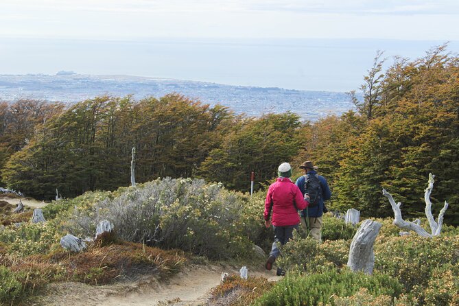 Private Patagonian Forest Hike in Punta Arenas: 8 Hour - Why this forest hike is worth your time