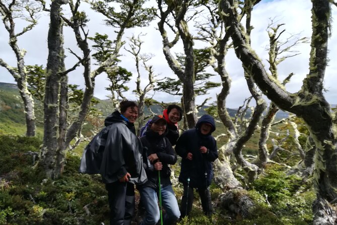 Private Patagonian Forest Hike in Punta Arenas: 8 Hour - Pickup, cruise timing, and the day’s rhythm