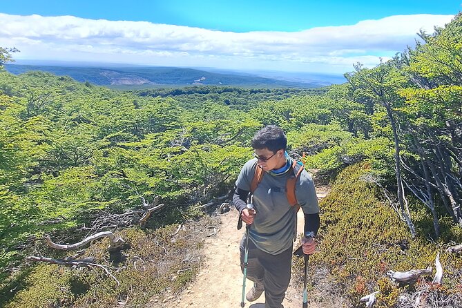Private Patagonian Forest Hike in Punta Arenas: 8 Hour - What to wear and bring for Patagonia weather