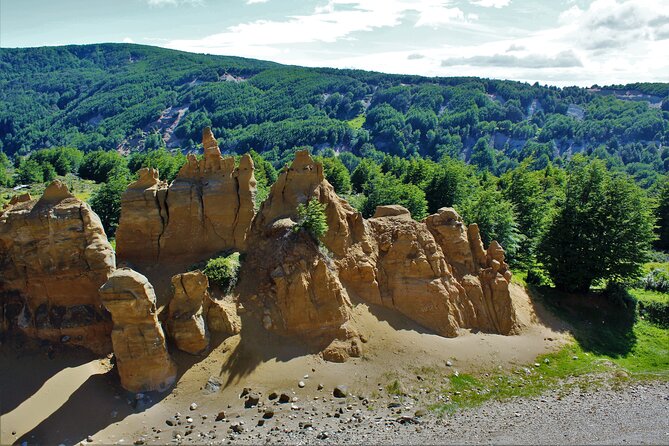 Private Patagonian Forest Hike in Punta Arenas: 8 Hour - Is the $350 price good value?