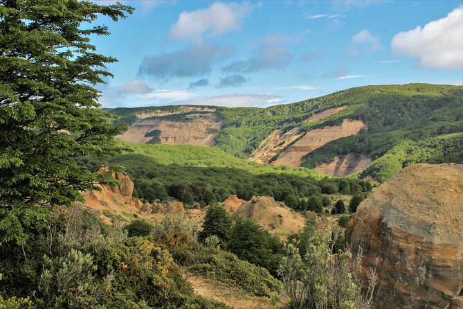 Private Patagonian Forest Hike in Punta Arenas: 8 Hour - The 11-kilometer route through Reserva Nacional Magallanes