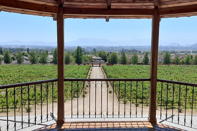 Private pre/post cruise tour Valparaiso & Casablanca Wine Valley - Key points at a glance