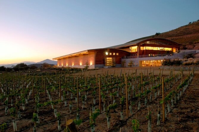 Private San Antonio Port, visit Chocalan Winery & Transfer Hotel - Inside the cellar, from barrels to blending