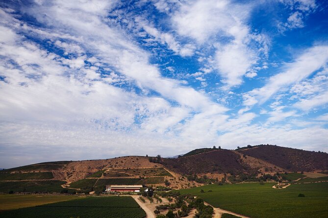 Private San Antonio Port, visit Chocalan Winery & Transfer Hotel - Who should book this private winery day?
