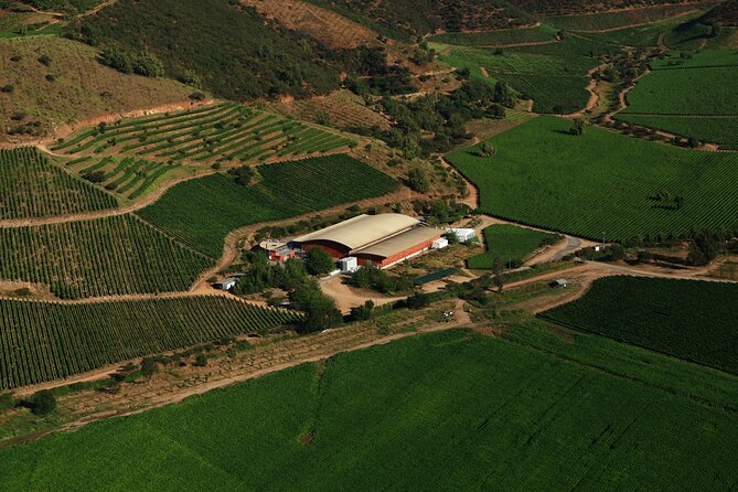 Private San Antonio Port, visit Chocalan Winery & Transfer Hotel - Three hours among Chocalán’s vineyards