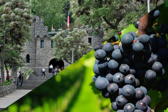 Private Santiago Full-Day Layover Tour - Why this layover tour works
