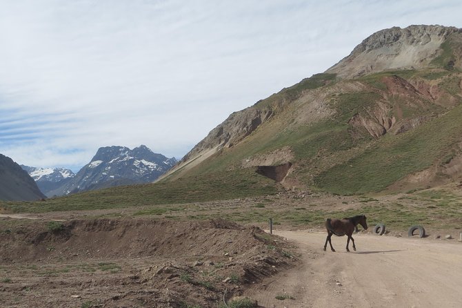 Private Tour: Andes Mountains with Wine Tasting from Santiago - Should you book the Andes and Cajón del Maipo tour?