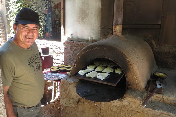 Private Tour: Andes Mountains with Wine Tasting from Santiago - Lunch, wine, and a taste of Chile