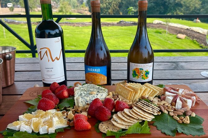 Private Tour at Maturana Wines and VIK winery with Lunch - Key points at a glance