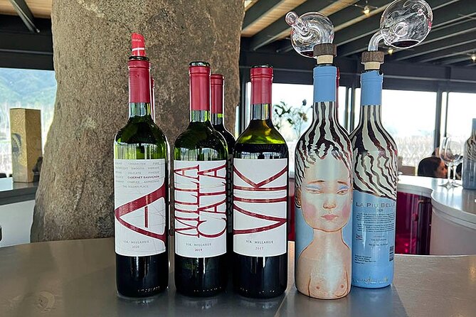 Private Tour at Maturana Wines and VIK winery with Lunch - Why this tour works as a two-winery day