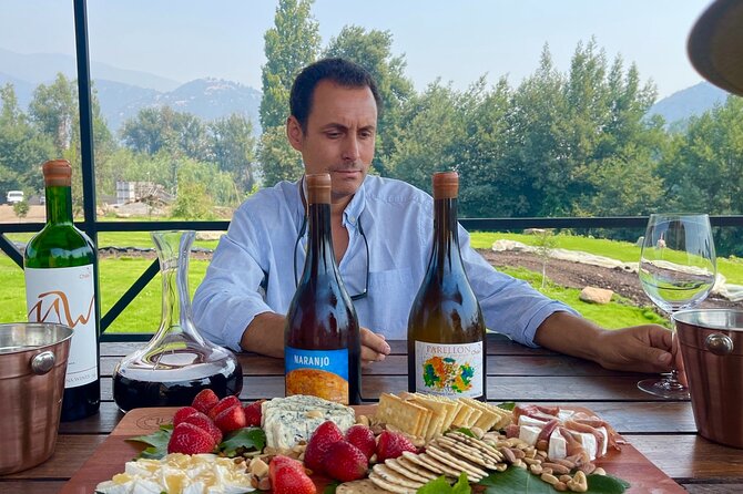 Private Tour at Maturana Wines and VIK winery with Lunch - The Pavilion Restaurant’s four-course Chilean lunch