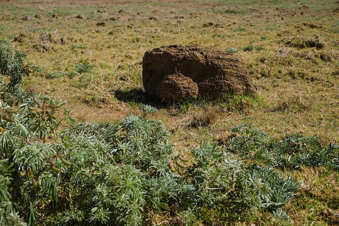 Private Tour: Easter Island’s Forgotten Pōike Peninsula - Pua Katiki, the highest point on the peninsula