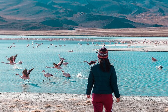 Private tour from San Pedro de Atacama Chile to the Salar de Uyuni - Day two: flamingos, volcanic islands, and the first salt-flat views