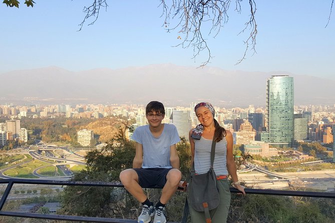 Private Tour: Half-Day Santiago Discovery - What the private format adds