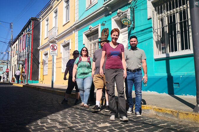 Private tour in Valparaiso from Valparaiso CruiseTerminal to Stgo - Key points to know before booking