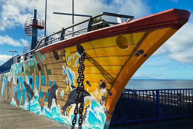 Private Tour of Puerto Montt with Stops - A private introduction to Puerto Montt in 2 to 2.5 hours