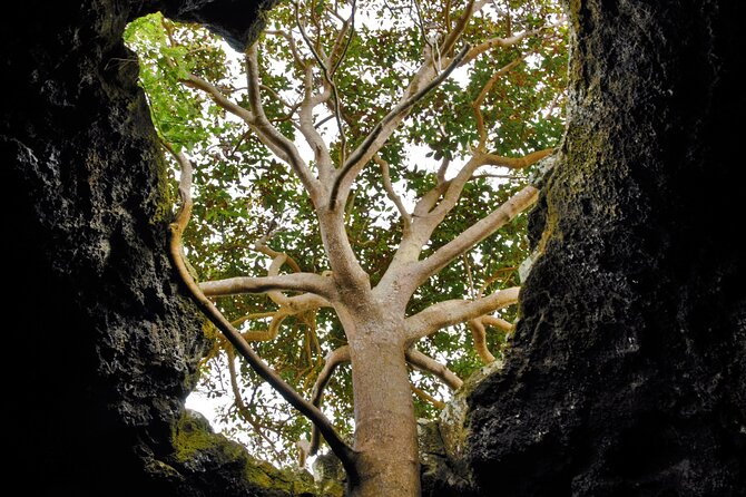 Private Tour Per Day In Following the Ancestral Orongo footprint and caves - Puna Pau shows where the pukao came from