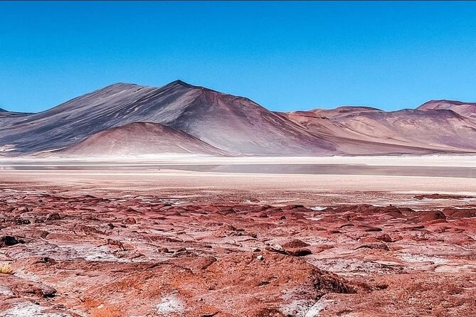 Private Tour: Piedras Rojas, in San Pedro de Atacama - Laguna Chaxa and the salt-flat flamingo country