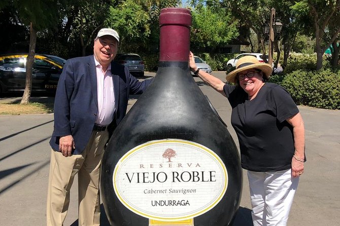 PRIVATE TOUR: Pre or Post Cruise San Antonio Port with Santiago Tour and Winery - The guide makes or breaks the city tour
