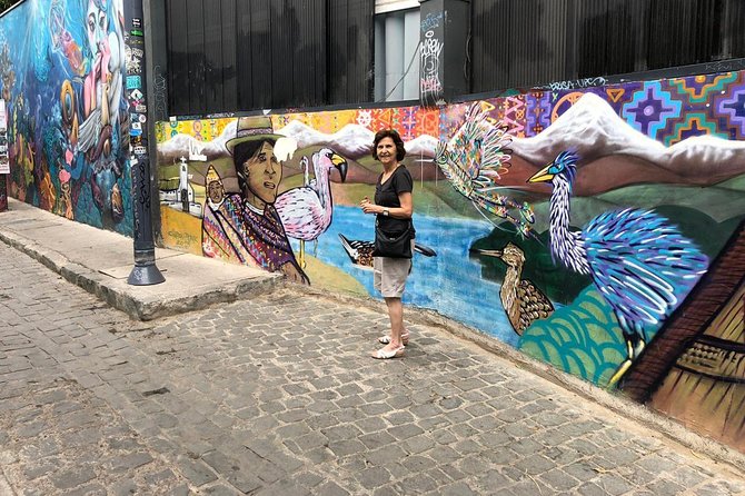 PRIVATE TOUR: Pre-Post Cruise Viña del Mar Valparaiso and Casablanca Winery tour - Viña del Mar, Reñaca, and the Flower Clock