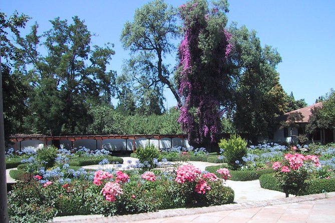 Private Tour: Santa Rita Vineyard with Wine Tastings - Timing the Visit Around Santiago